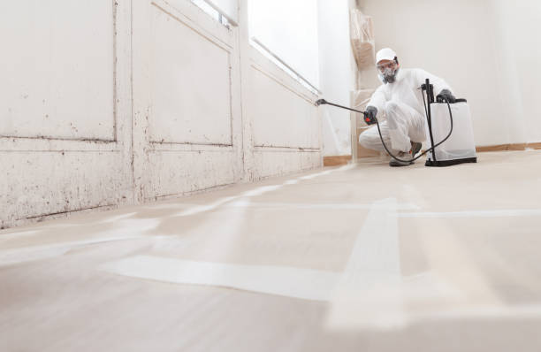24/7 Emergency Mold Removal experts in Worcester, PA