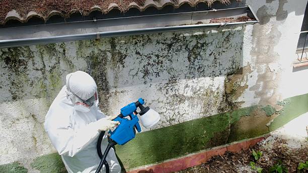 Trusted Bathroom Mold Removal service in Worcester, PA - Cheap Mold Removal